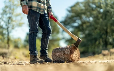 Top Benefits Of Professional Tree Removal Services In Austin