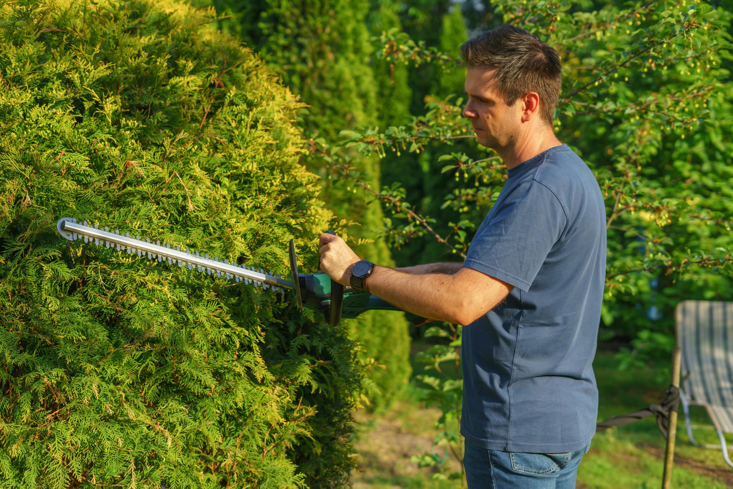 affordable tree trimming services in austin tx